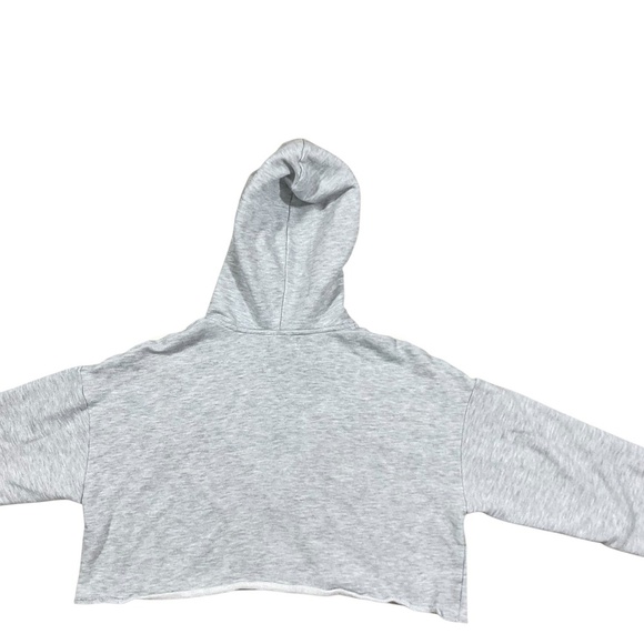 Allard State Gray Cropped Hoodie Sweatshirt Large - Picture 4 of 7